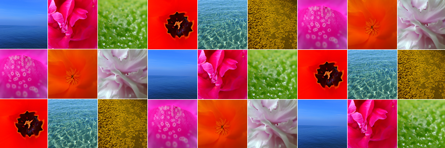 thumbnails from the Spectrum range