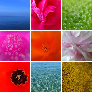 The vibrant Spectrum range