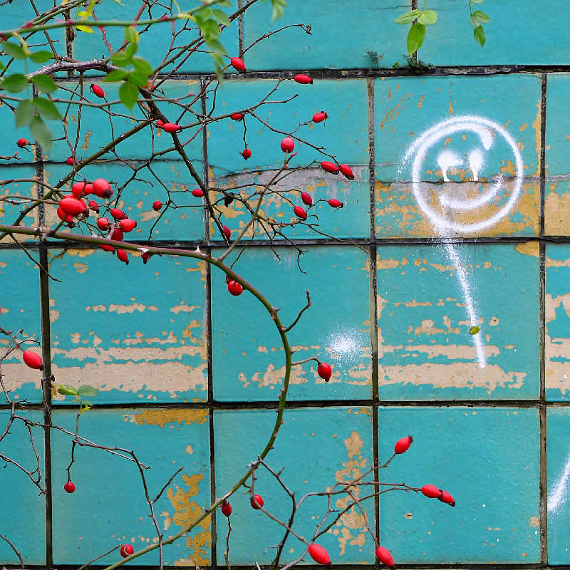 Hip Smiley  by Roger Newbrook