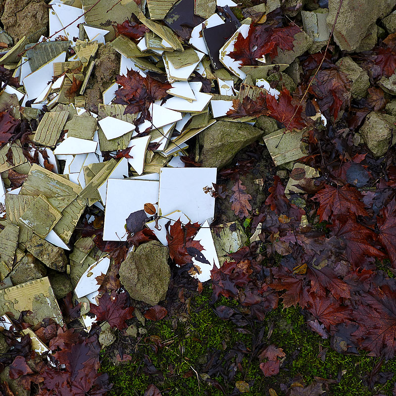 Tiles, Leaves, Moss by Roger Newbrook