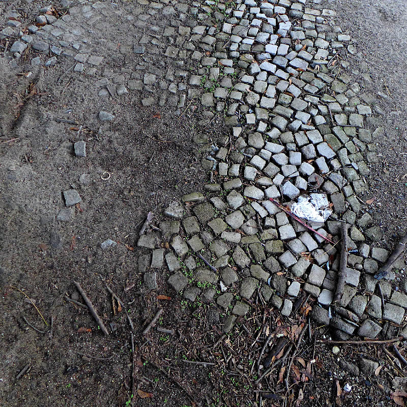 Disappearing Ground by Roger Newbrook