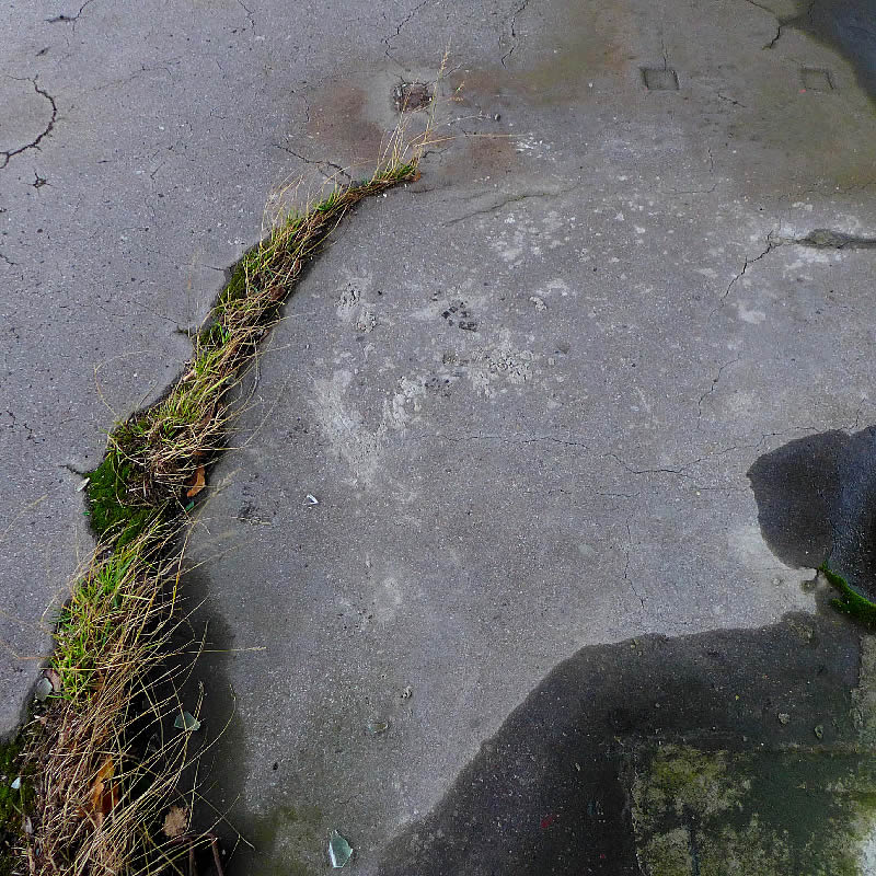 Torn Ground by Roger Newbrook